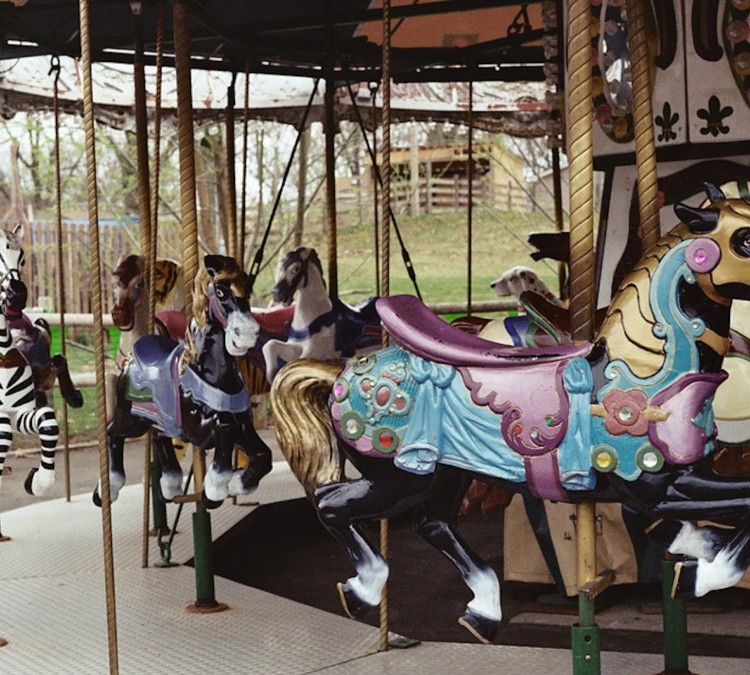Zoo Carousel (Dorchester,&nbspMA)